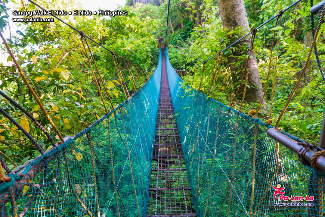 Canopy Walk El Nido